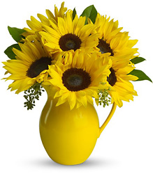 Sunny Day Pitcher of Sunflowers Cottage Florist Lakeland Fl 33813 Premium Flowers lakeland